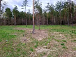 2559 - zdjęcie nr 4