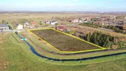 2485 - zdjęcie nr 3