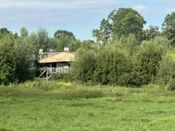 2437 - zdjęcie nr 4