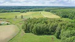 2581 - zdjęcie nr 4