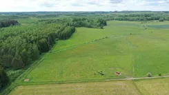 2585 - zdjęcie nr 3