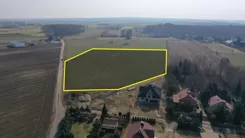 2495 - zdjęcie nr 4