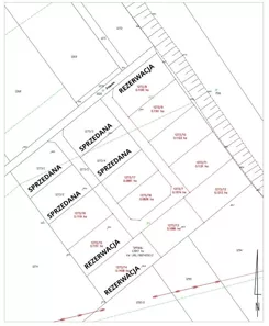 2136 - zdjęcie nr 2