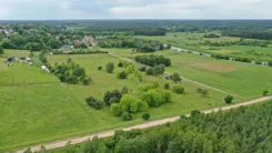 2136 - zdjęcie nr 4