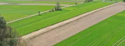 2133 - zdjęcie nr 4