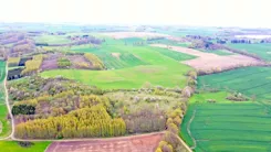 2616 - zdjęcie nr 4