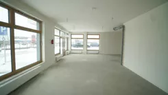 2517 - zdjęcie nr 2