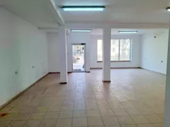 2497 - zdjęcie nr 2