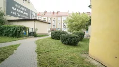 2619 - zdjęcie nr 3