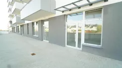 2624 - zdjęcie nr 3
