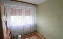 2569 - zdjęcie nr 1