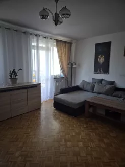 2539 - zdjęcie nr 3