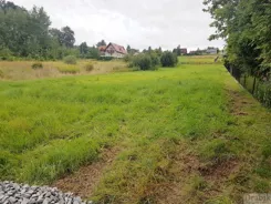 2677 - zdjęcie nr 0
