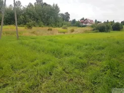 2677 - zdjęcie nr 2