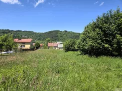 2698 - zdjęcie nr 1