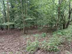 2740 - zdjęcie nr 2