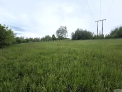 2688 - zdjęcie nr 4