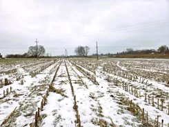 2669 - zdjęcie nr 1