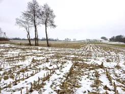 2669 - zdjęcie nr 2
