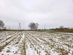 2669 - zdjęcie nr 3