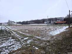 2669 - zdjęcie nr 4
