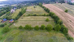 2622 - zdjęcie nr 1