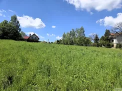2689 - zdjęcie nr 2