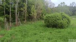 2689 - zdjęcie nr 4