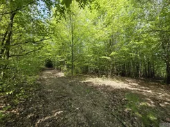 2635 - zdjęcie nr 2