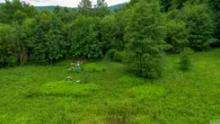 2718 - zdjęcie nr 4