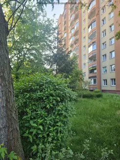 ABN-MS-24784 - zdjęcie nr 0