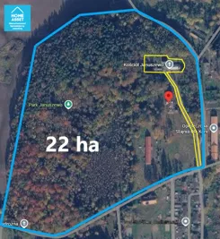 HS906136 - zdjęcie nr 2