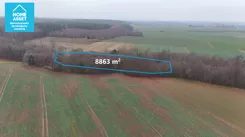 HS545309 - zdjęcie nr 4