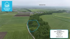 12177449 - zdjęcie nr 0