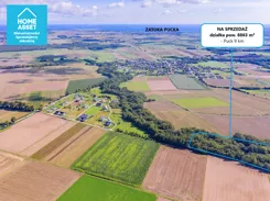 12177449 - zdjęcie nr 4