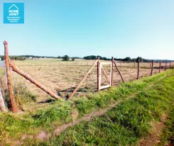 HS273328 - zdjęcie nr 3