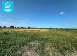 12281369 - zdjęcie nr 0