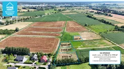 HS236491 - zdjęcie nr 1