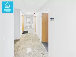12019790 - zdjęcie nr 4