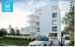 11392772 - zdjęcie nr 3