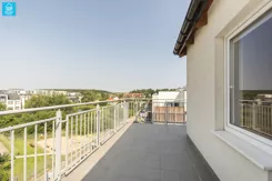 HS318291 - zdjęcie nr 0