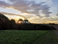 CPI-GS-1292-21 - zdjęcie nr 1