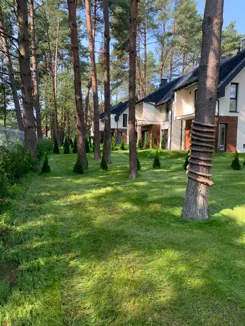 Rozewie Park - zdjęcie nr 4