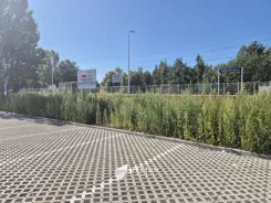 TC230546 - zdjęcie nr 3