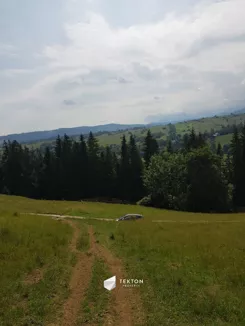 TC369978 - zdjęcie nr 1