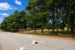 TC482918 - zdjęcie nr 0