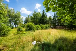 TC482918 - zdjęcie nr 2