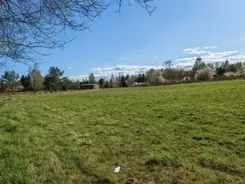 TC100388 - zdjęcie nr 3