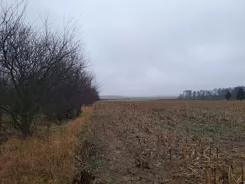 30-1 - zdjęcie nr 1