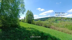 10036652 - zdjęcie nr 2